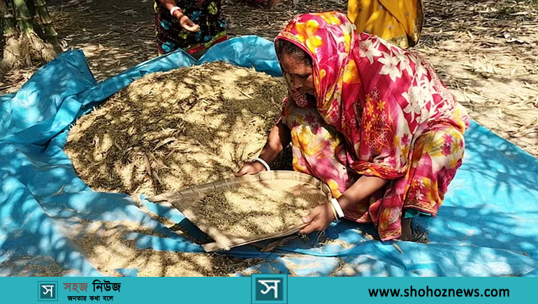 ময়লা পরিষ্কার করে সংগ্রহ করা হচ্ছে ‘বাঁশের ধান’