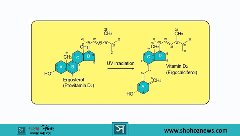 Vitamin D2 Structure