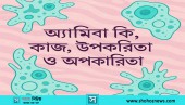 অ্যামিবা কি, অ্যামিবার কাজ, উপকারিতা ও অপকারিতা